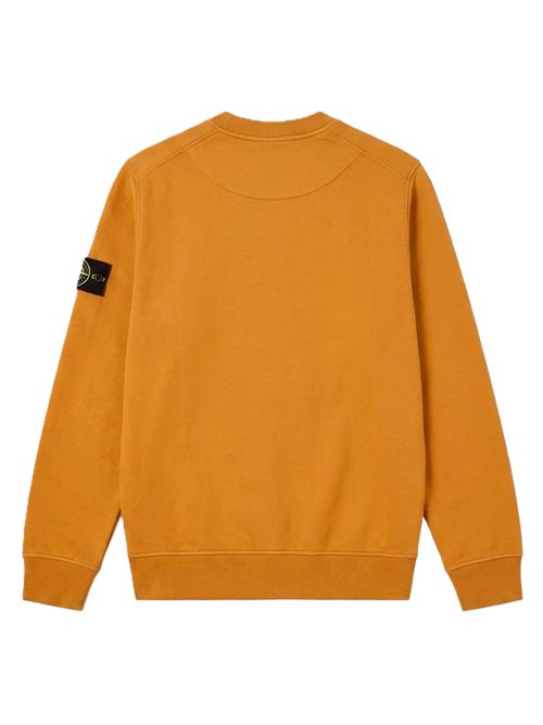Stone Island Felpa girocollo in cotone biologico con maniche raglan Stone Island | L1S156100060S0051V007E